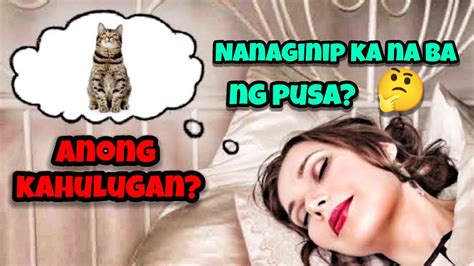 pusa sa panaginip|Alamin kung ano ang ibig sabihin ng panaginip ng mga pusa at .